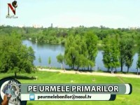 8 PRIMARI 3