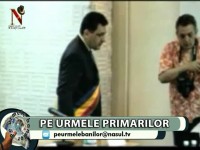 PRIMARI 5