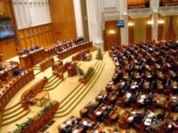 plenul parlamentului