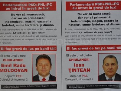 afise-chiulangii-pdl-cristiana-sabau