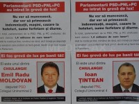 afise-chiulangii-pdl-cristiana-sabau