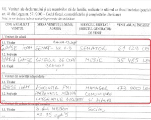 declaratie de avere ghise