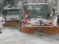 IARNA - BUCURESTI - 2008