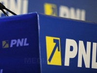pnl
