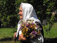 208591_492587504110471_1942089551_n