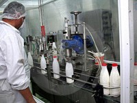 lapte-contaminat-cu-aflatoxina