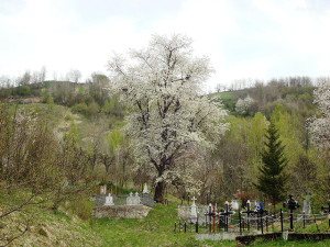 0e9395e08f0e171cc2498375bddfa48c