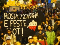 1044606_707865565893481_2004806571_n