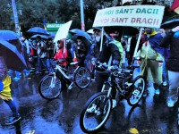 1239323_711664352180269_1461369790_o