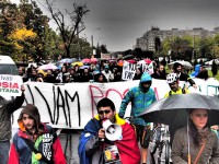 1267464_711639488849422_370910735_o