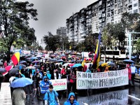 1269830_711647568848614_144298388_o