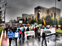 1274690_711639778849393_1321120921_o