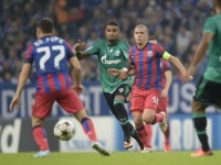 Schalke-Steaua