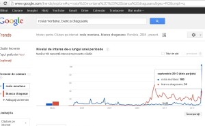 interes-rosia-montana-vs-bianca-dragusanu