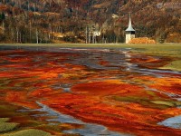 satul-geamana-de-langa-rosia-poieni