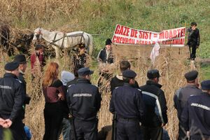 pungesti proteste