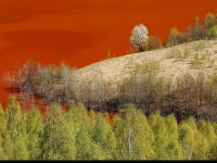 Geamăna - Iazul Valea Şesii 1