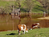 Geamăna - Iazul Valea Şesii 16