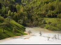 Geamăna - Iazul Valea Şesii 20