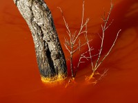 Geamăna - Iazul Valea Şesii 4