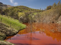 Geamăna - Iazul Valea Şesii 5