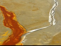 Geamăna - Iazul Valea Şesii 6