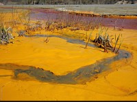 Geamăna - Iazul Valea Şesii 8