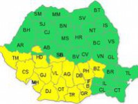 cod galben de ninsori