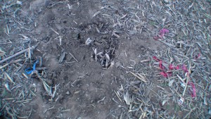 SANYO DIGITAL CAMERA