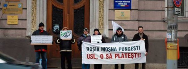 1486852_764127896935011_1921782683_n