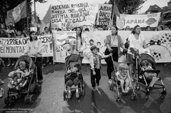 581565_396671000434218_1472806070_n(1)