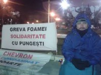 greva foamei pungesti