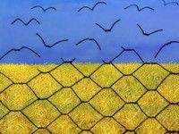 euromaidan libertate