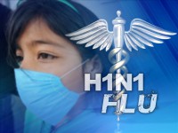 swine flu