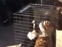 Screen Shot 2014-03-22 at 22.22.36