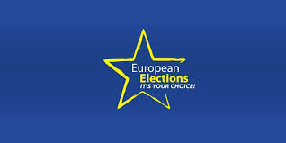 alegeri europarlamentare 2014