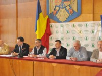 campanie brad constanta