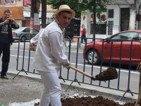 catalin berenghi gradinar