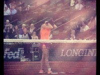 halep reactia meci petkovic