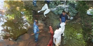 Dezastru ecologic Dâmbovița