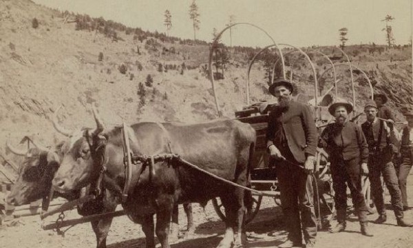 Ion Oprea Cârstocea,