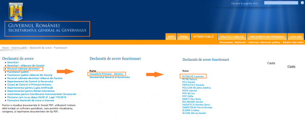 Petrache-luminita-de-la-cancelarie