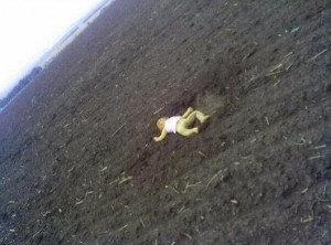 dezastru aviatic ucraina