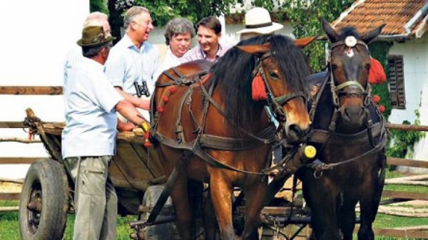 printul charles_romania