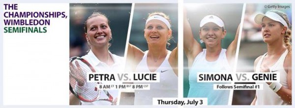 semifinale wimbledon 2014