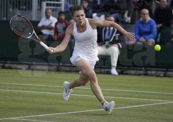 simona halep wimbledon 2014