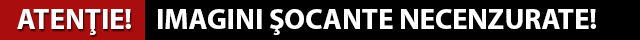 imagini-socante