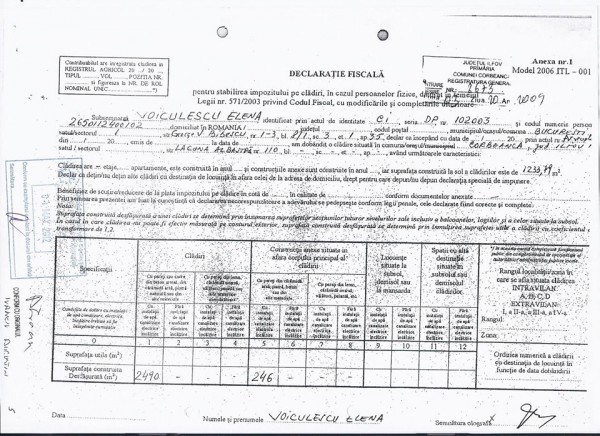 liana-voiculescu-11a