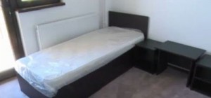 azil-batrani-fantanele