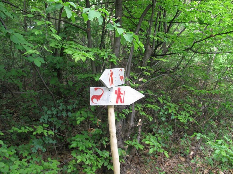 geoparcul-dinozaurilor-tara-hategului